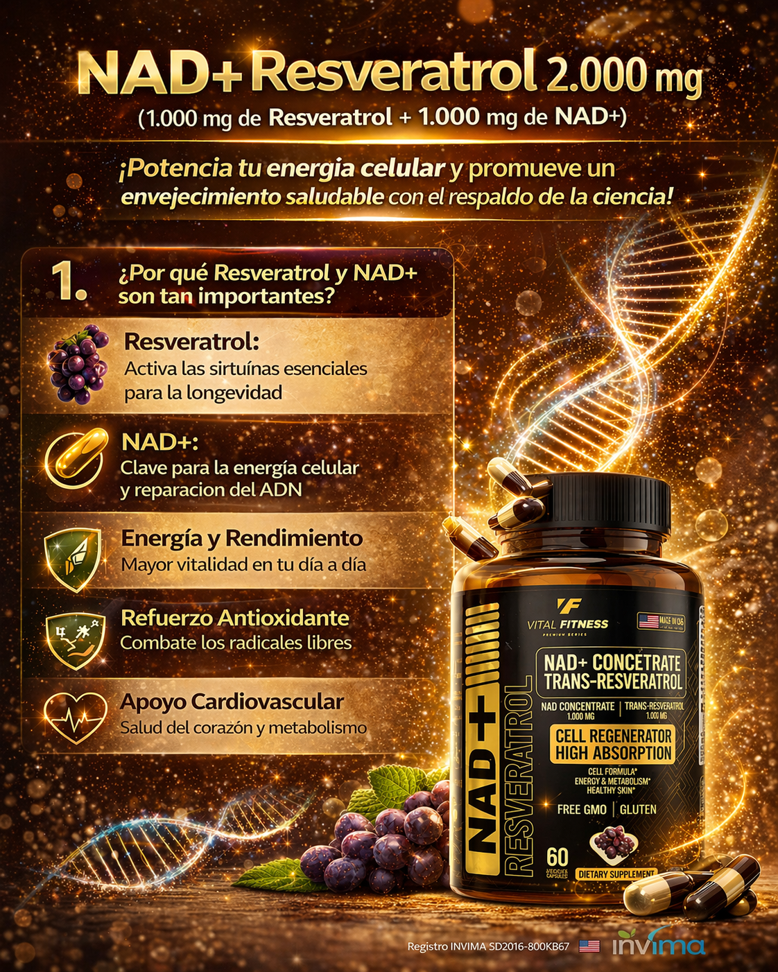 APOYO CARDIOVASCULAR