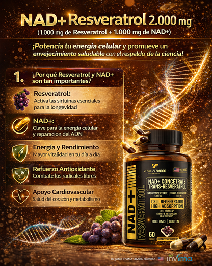 APOYO CARDIOVASCULAR
