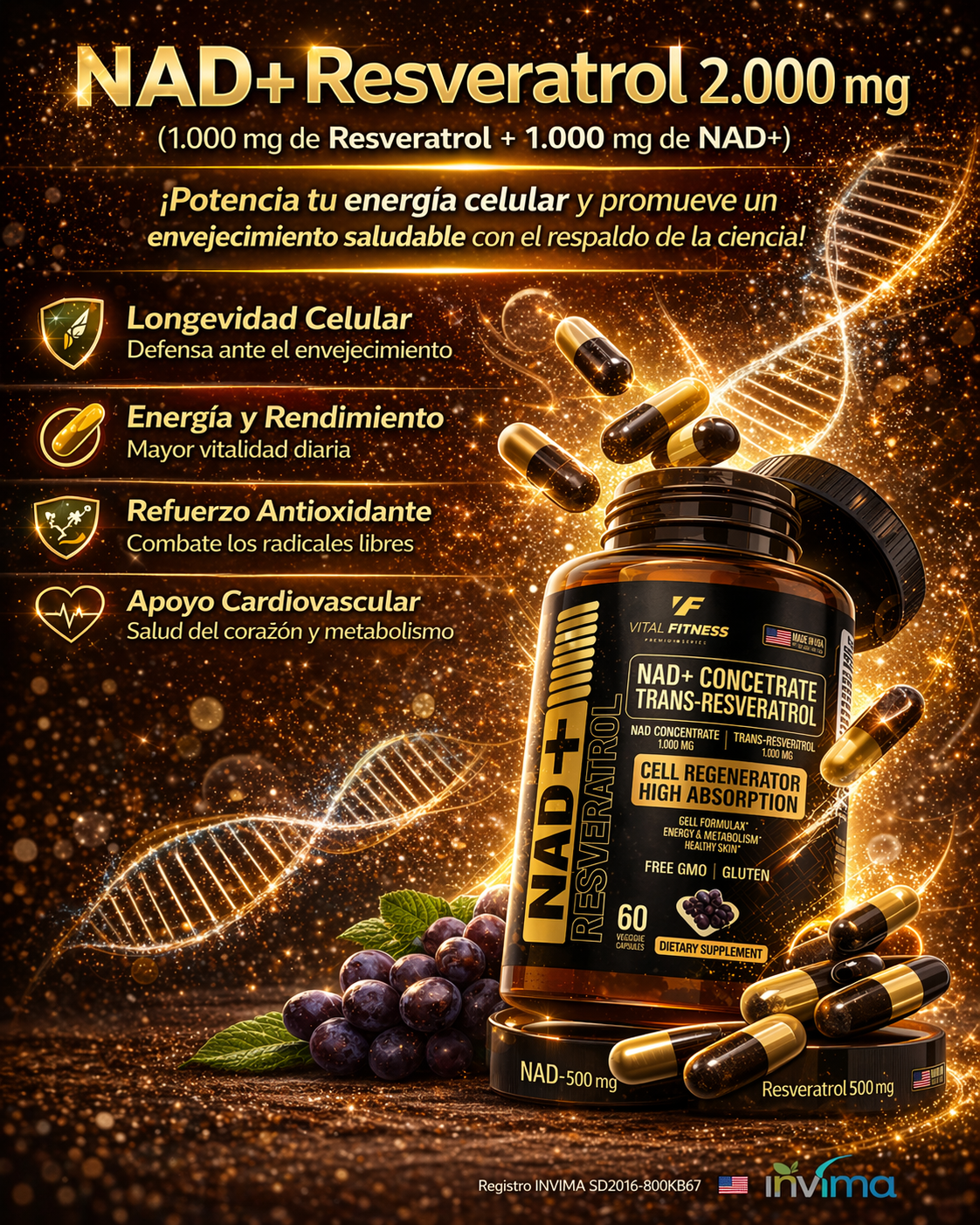 APOYO CARDIOVASCULAR